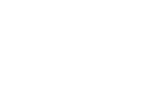City of New Port Richey logo